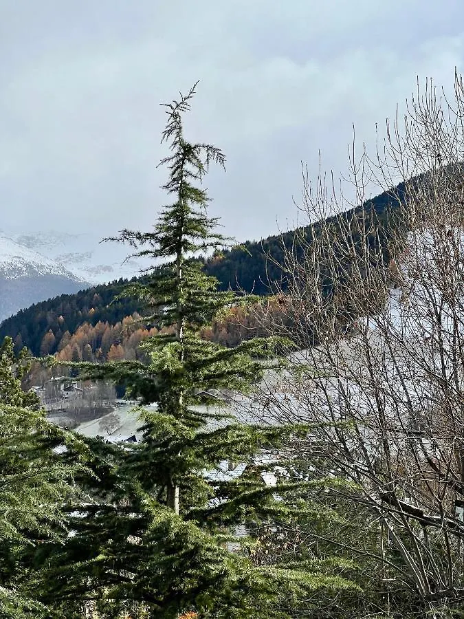 Il Pettirosso - Casa Vacanze Bormio 0*,